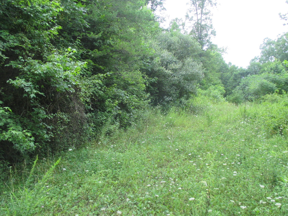 Sanders Creek | 3.91 acres more or less with a septic system 