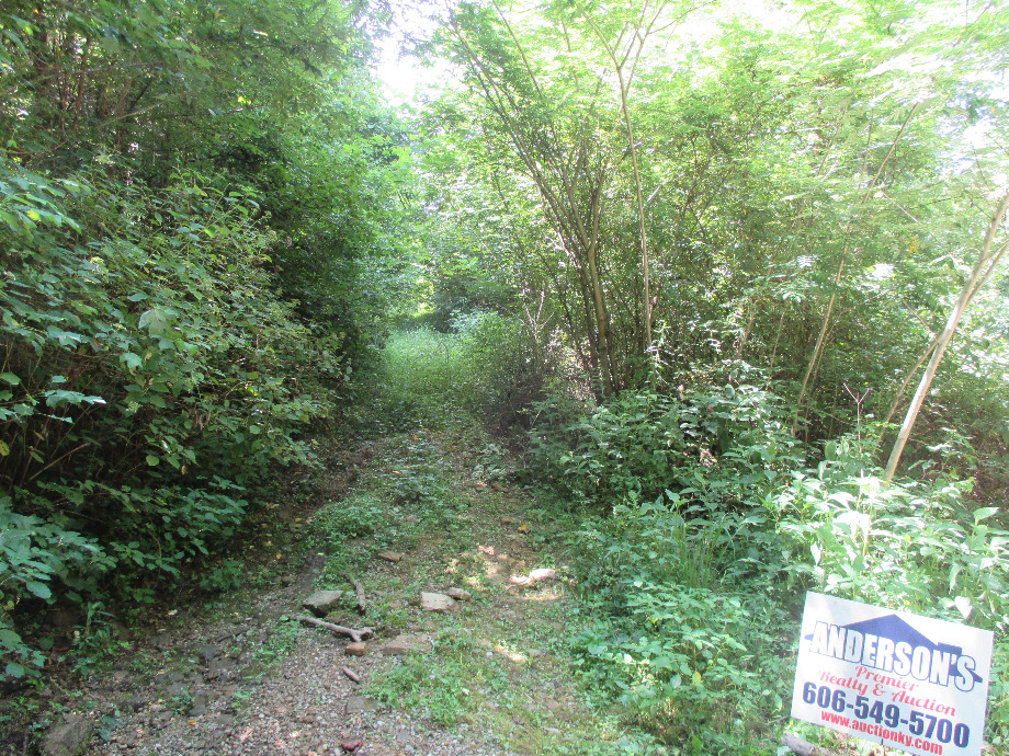 Sanders Creek | 3.91 acres more or less with a septic system 